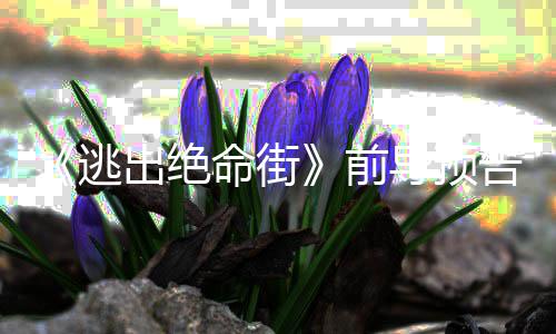 命街麦雷主·海导预告 出绝前逃安妮演克格瑟薇