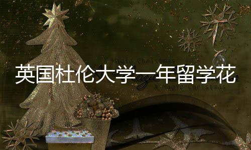 留学指南花费杜伦大学英国一年预算