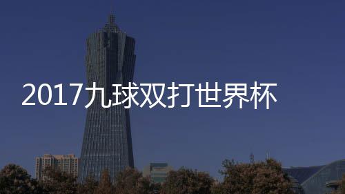杯录比赛美国之一九球像 芬兰双打世界四分视频